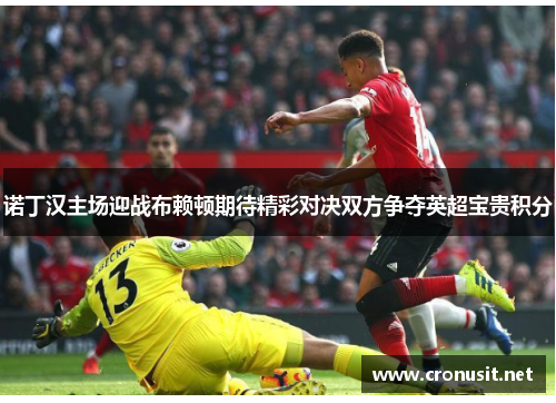 诺丁汉主场迎战布赖顿期待精彩对决双方争夺英超宝贵积分